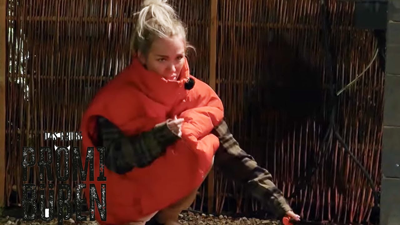 "Das ist mir zu abartig!" – Emmy weint beim Klo-Dienst | Das große Promibüßen | P7