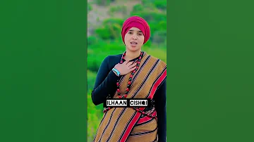 Dhaanto Ilhaan Cish 