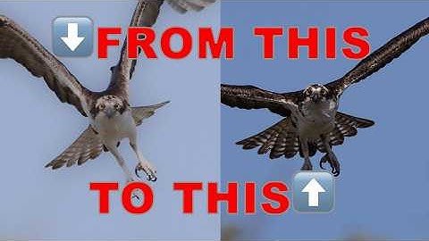 Do you want sharp photos every time? 10 Tips to improve sharpness in 2025