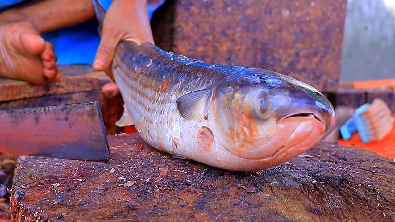 Most Tasty Big Batta Fish Cutting Skills By Expert Fish Cutter Fish