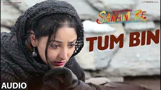 Tum Bin Jiya Jaye kaise full song   Sanam Re movie   Yami Gautam and Pulkit Samrat  💗💘💗💘