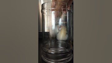 SATISFYING SOUND NESPRESSO COFFEE CAPSULES