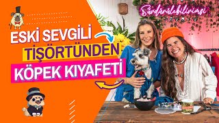 Eski Sevgili Tişörtünden Köpek Kıyafeti