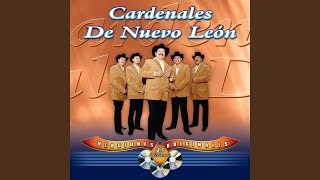 Video thumbnail of "Cardenales de Nuevo León - Soy"
