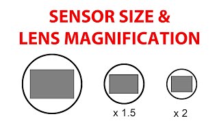 Image Sensor Size and Lens Magnification