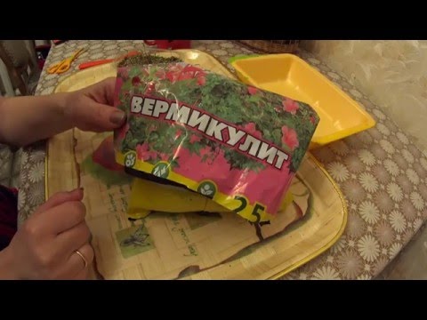 Выращивание рассады в ВЕРМИКУЛИТЕ!!!