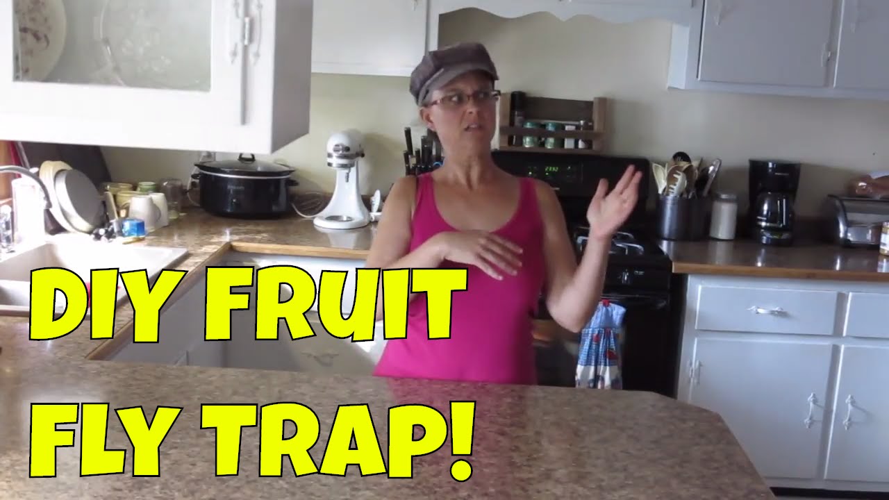 DIY Fruit Fly Trap for Getting Rid of Fruit Flies - The Homespun