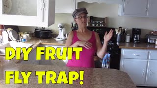 DIY Fruit Fly Trap that Actually Works!