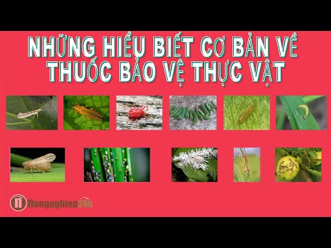 Video: Hóa Chất Nông Nghiệp Và Thuốc Bảo Vệ Thực Vật được Phép Sử Dụng Trong Sản Xuất Các Sản Phẩm Hữu Cơ