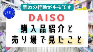 ダイソー購入品紹介と、売り場で見た今後のこと【生活費6.5万円のアラフォー独女】