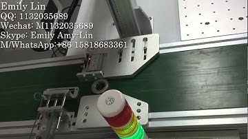 Online laser marking machine with conveyor belt
