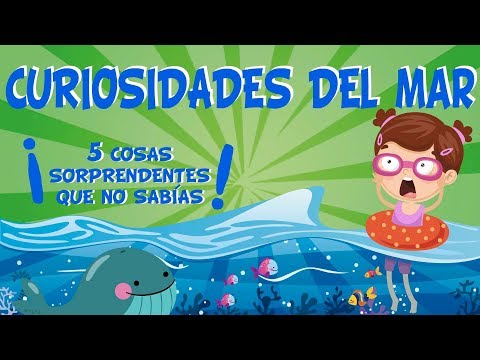 Video: ¿Cuál de estos es menos probable que se vea en el epipelágico?