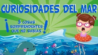 5 COSAS QUE NO SABÍAS DEL MAR | CURIOSIDADES FASCINANTES PARA NIÑOS