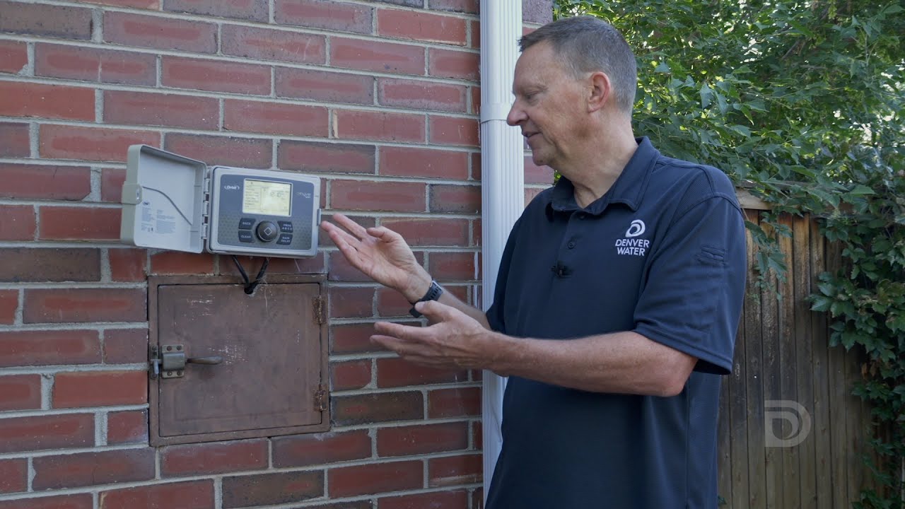 Время полива капельной системой для растений, требовательных к воде