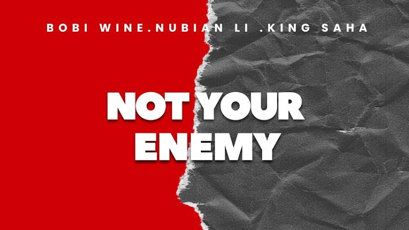 Not Your Enemy