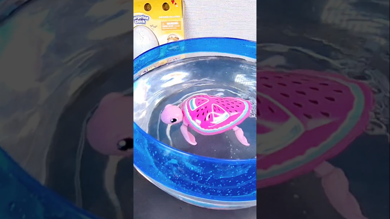 Little Live Pets TURTLE 🐢 ❤️ #