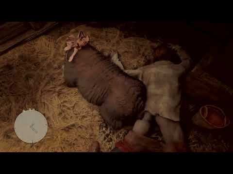 I DO NOT want to know what happened here - Red Dead Redemption 2