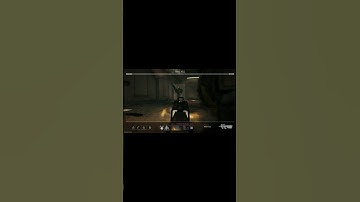 Killcam Riot Shield Legs MW2