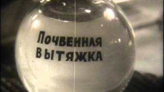 Питание растений из почвы Питание растений из почвы
