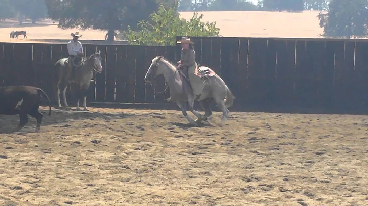 Donna Padula riding Sugarland Hits, 8-9-15 SCCHA