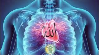 Dzikir Allah - Zikir Ruh - Dzikir Khofi Allah Allah Allah (Gunakan Headphone 1 Jam Full)