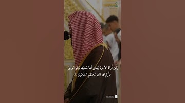مقتطف من تلاوة فضيلة الشيخ #أحمد_الحذيفي من صلاة العشاء الاثنين ١٦ ربيع الأول ١٤٤٧هـ