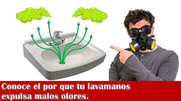 ¿Por qué el lavabo de mi baño huele a cloaca?