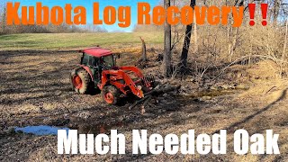 Back To The Farm For The Oak Logs!! #firewood #freefirewood #kubota by Todd’s Outside Again 2,013 views 2 months ago 17 minutes