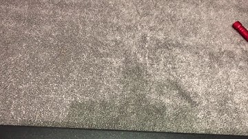 Sqrl acorn cle 101 & 215+ español