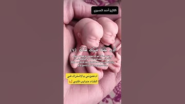 تلاوة تهتز لها القلوب #القارئ أحمد المسيري #القرآن_الكريم #quran #اكسبلور #duet #تيك_توك #لايك