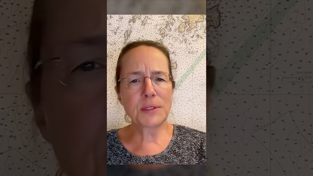 Утечка чата молодых республиканцев