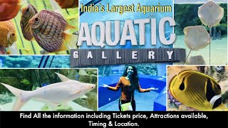 Aquatic Gallery Science City Ahmedabad Gujarat | India's Largest Public Aquarium | Underwater World