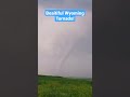 Wyoming tornado over a field of wildflowers!