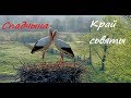 Спадчына(сал А.Усанаў) - Край сьвяты