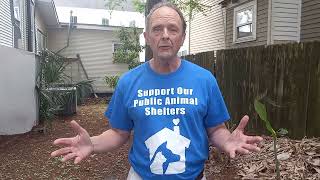 Update from the Humane Society of Louisiana: we launched our latest campaign earlier today