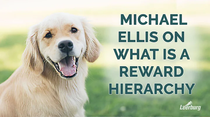 Michael Ellis on What is a Reward Hierarchy