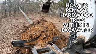 How to pull hardwood trees (Hickory) with Mini Excavator by Kapper Outdoors Modern homestead 881 views 1 month ago 11 minutes, 29 seconds