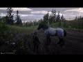 [Wild Hearts - Chapter II] Nayeli, Nika und Temo - Nayeli und die Law (19.04.2026)
