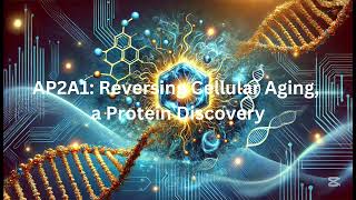 AP2A1 Reversing Cellular Aging, a Protein Discovery