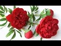 ABC TV | How To Make Red Charm Peony Paper Flower From Crepe Paper - Craft Tutorial