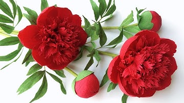 ABC TV | How To Make Red Charm Peony Paper Flower From Crepe Paper - Craft Tutorial