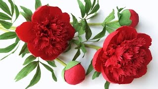 ABC TV | How To Make Red Charm Peony Paper Flower From Crepe Paper - Craft Tutorial