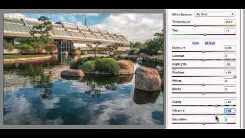 Educator.com: Adobe Photoshop Elements 11 w/ Prof. Michael Brown (Adobe Certified)