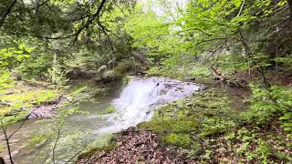 Sadie hike/ waterfalls