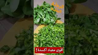 فوائد نبات 