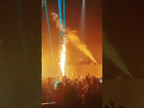 best perform dj