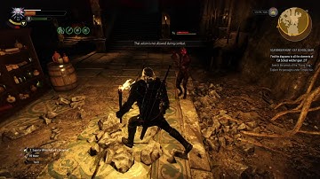 The Witcher 3: Random Encounter