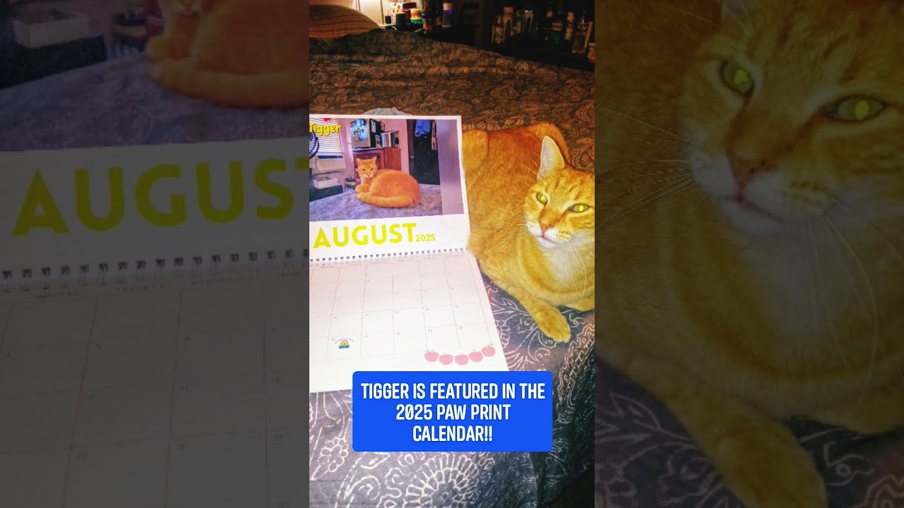 Tigger is featured in the Paw Print 2025 Calendar! ❤️😺❤️