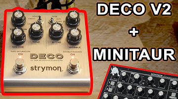 Strymon Deco V2 with Moog Minitaur bass synth