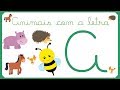 Animais com a letra A - Nomes Animais com Imagens